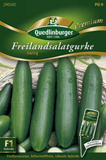 Quedlinburger Freiland-Salatgurke Swing