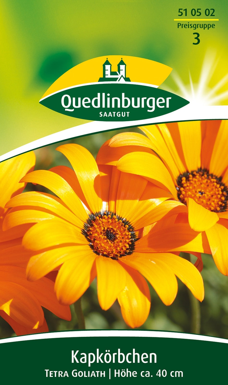 Quedlinburger Kapkörbchen  Tetra Goliath