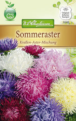 N.L. Chrestensen Sommeraster Krallenaster Mischung