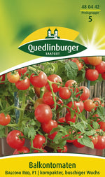 Quedlinburger Cherrytomate Balconi Red
