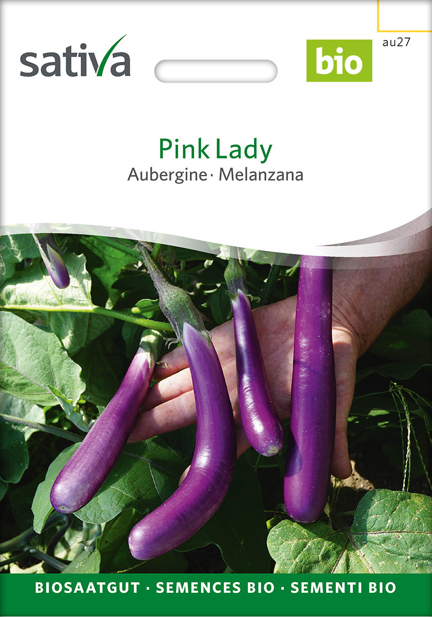 Sativa Aubergine Pink Lady