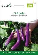 Sativa Aubergine Pink Lady