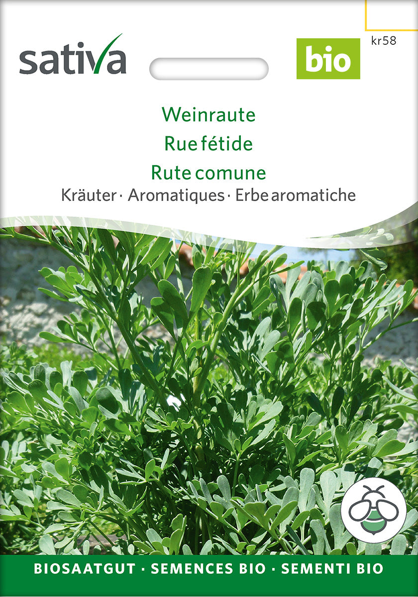 Sativa Weinraute