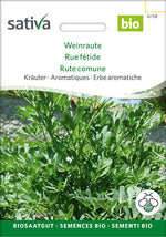 Sativa Weinraute