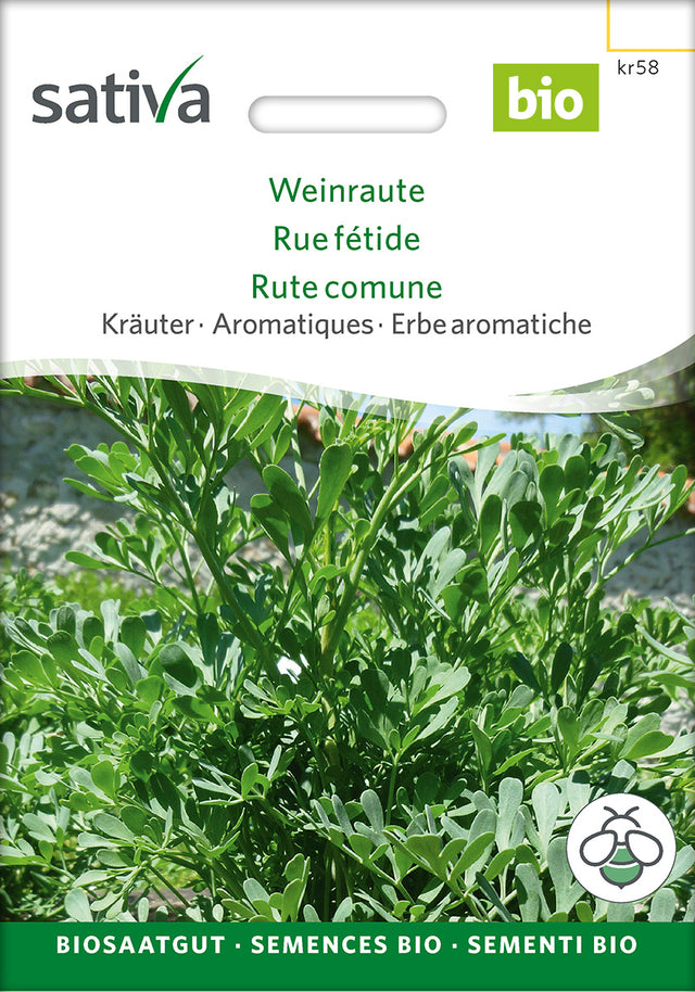 Sativa Weinraute