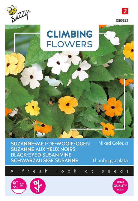 Buzzy Seeds Schwarzäugige Susanne Mischung