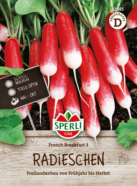 SPERLI Radieschen French Breakfast 3