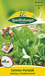 Quedlinburger Sommerportulak einjährig