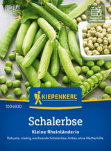 Kiepenkerl Schalerbse Kleine Rheinländerin