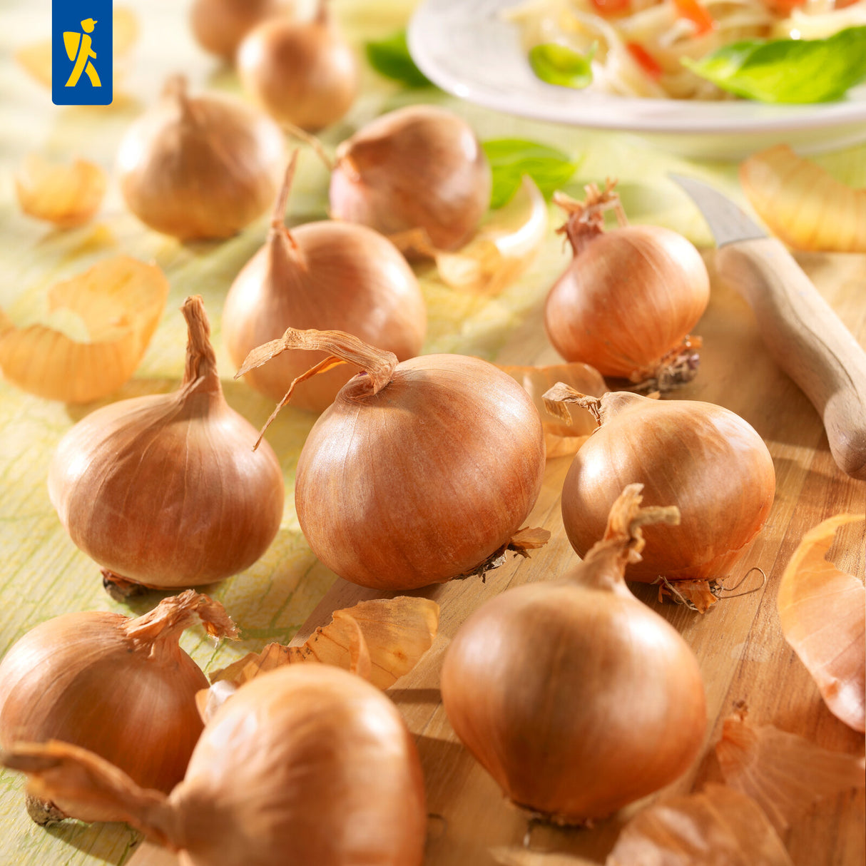 Kiepenkerl Schalotten Red Sun 400 g