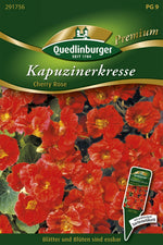 Quedlinburger Kapuzinerkresse Cherry Rose