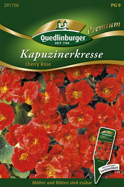Quedlinburger Kapuzinerkresse Cherry Rose