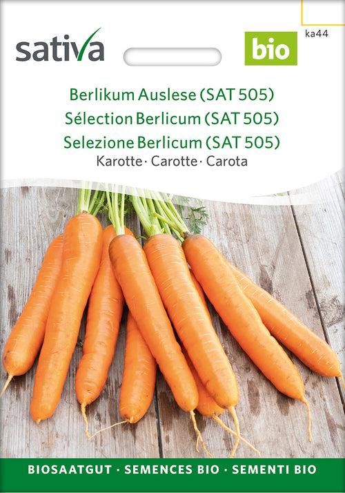 Sativa Karotte Berlikum Auslese (SAT 505)