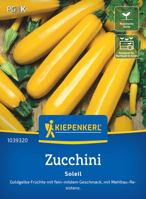 Kiepenkerl Zucchini Soleil