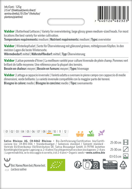 Sativa Winterkopfsalat Valdor