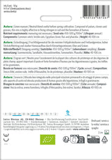 Sativa BIO Gründüngung Astera