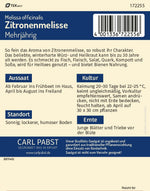 Pabst Keimkraft Zitronenmelisse Lima mehrjährig