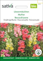 Sativa Löwenmäulchen
