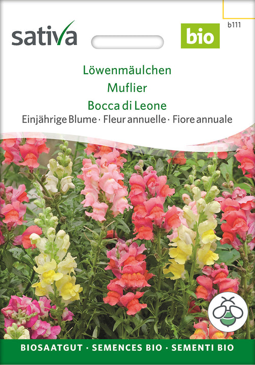 Sativa Löwenmäulchen