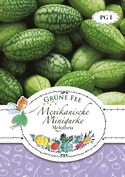 Grüne Fee Mexikanische Minigurken Sandia