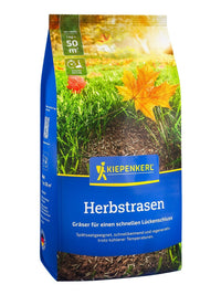 Kiepenkerl Rasen Herbst- und Nachsaatrasen 1 kg