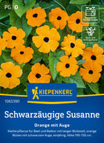 Kiepenkerl Schwarzäugige-susanne Orange mit Auge