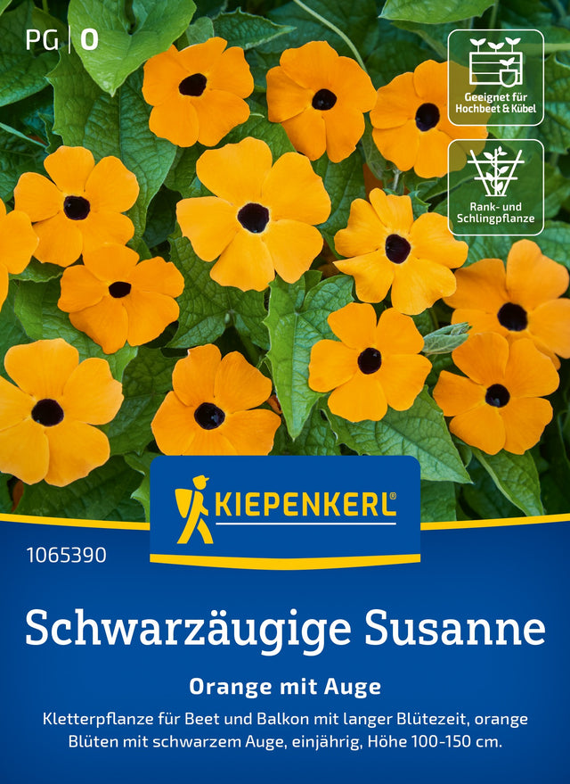 Kiepenkerl Schwarzäugige-susanne Orange mit Auge