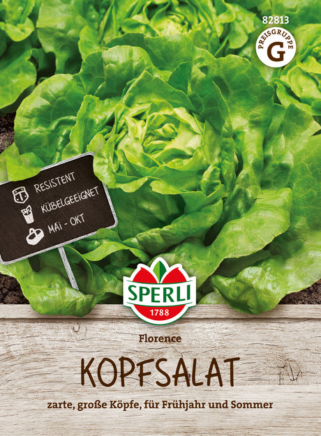 SPERLI Kopfsalat Florence