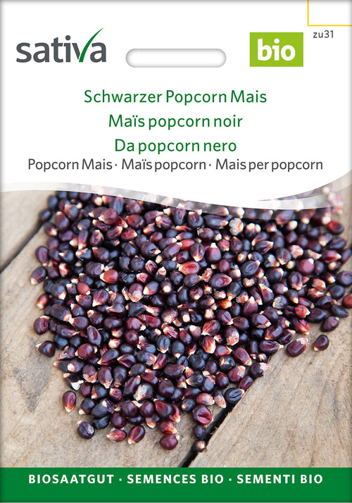 Sativa Popcorn Mais Schwarzer Popcorn Mais