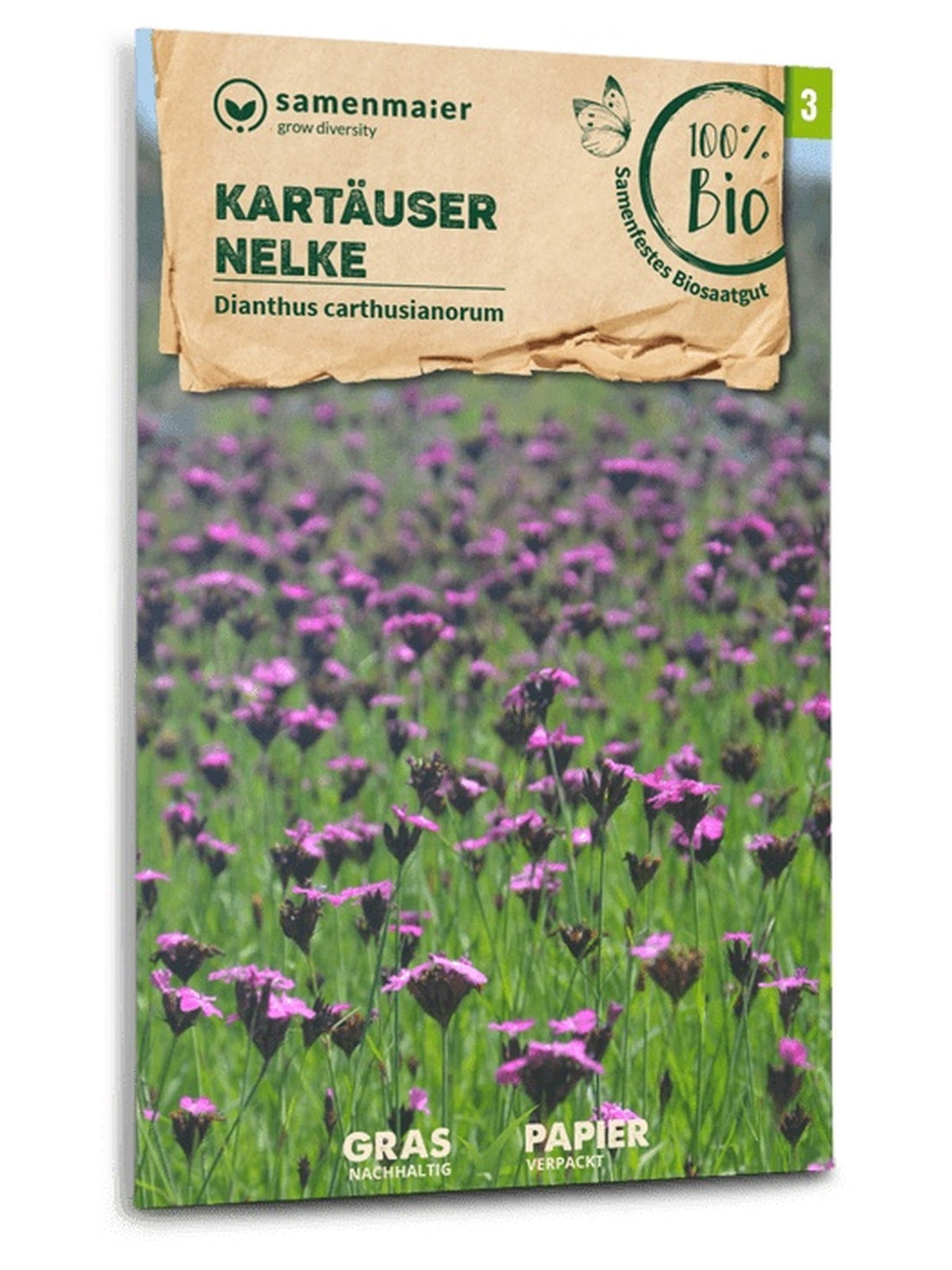 Samen Maier BIO Karthäuser-Nelke