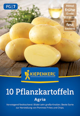 Kiepenkerl Pflanzkartoffel Agria 10 Stück