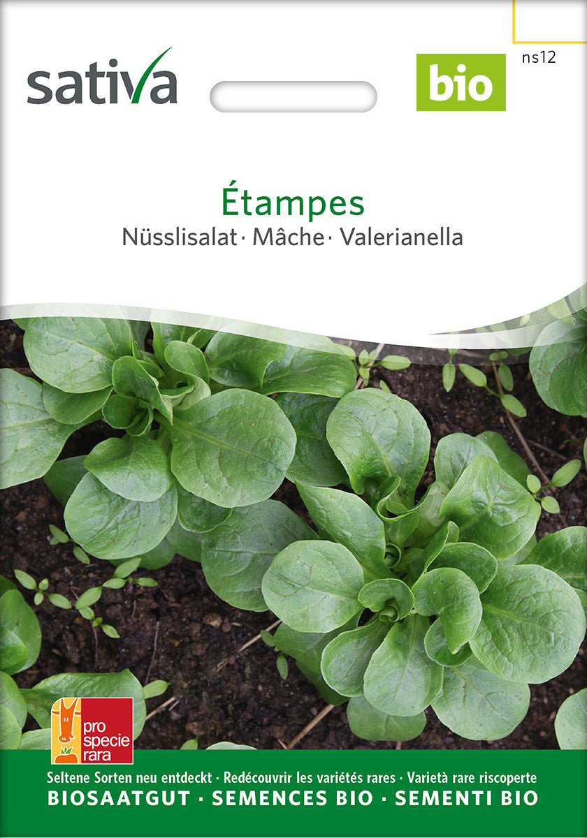 Sativa Nüsslisalat Étampes