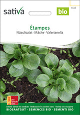 Sativa Nüsslisalat Étampes