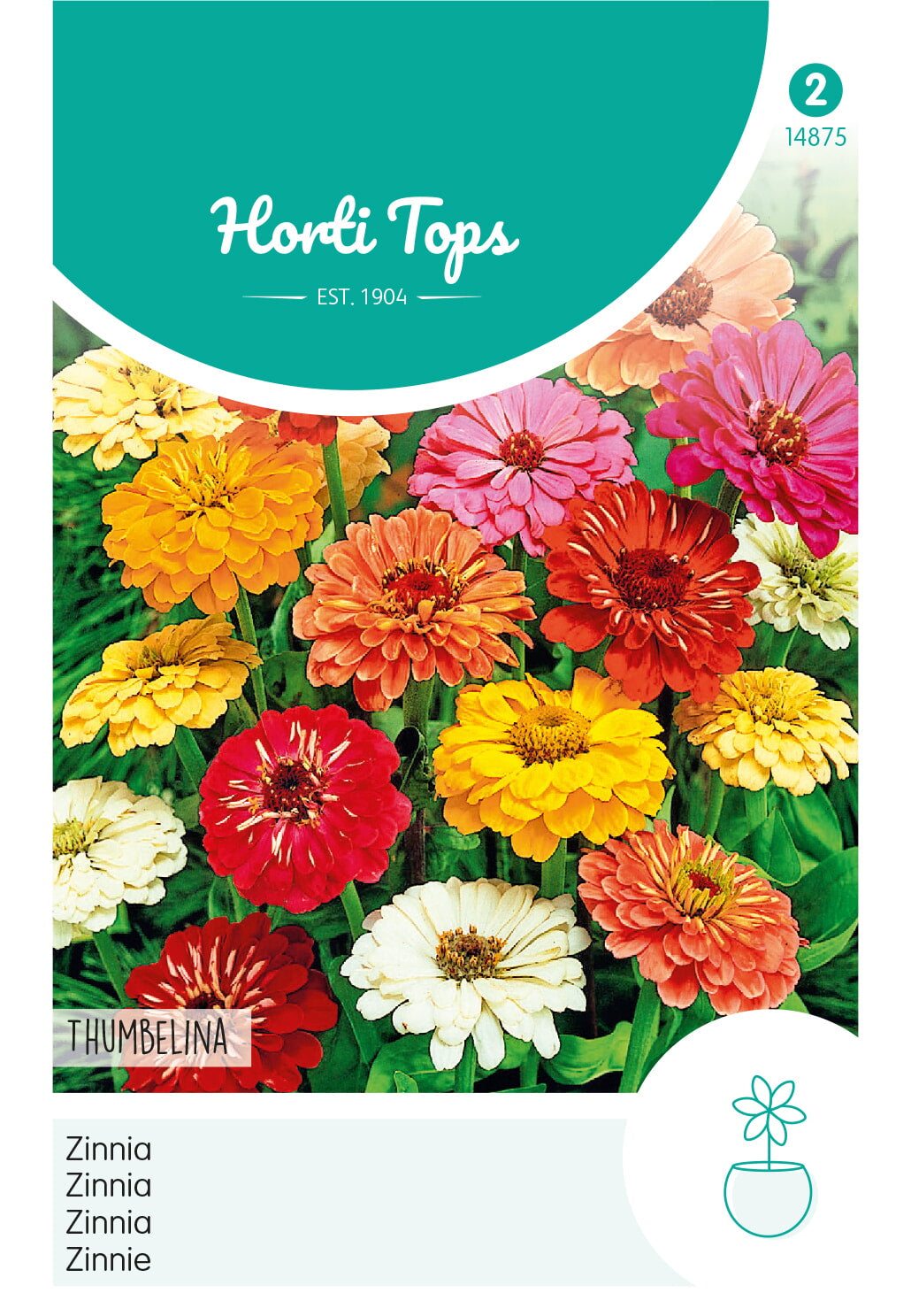 Horti Tops Zinnie Elegans Thumbelina Mischung