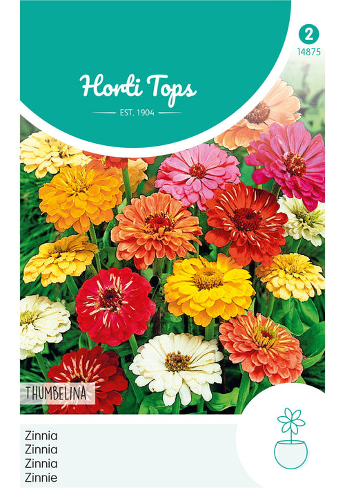 Horti Tops Zinnie Elegans Thumbelina Mischung