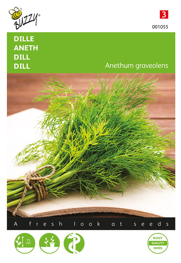 Buzzy Seeds Dill