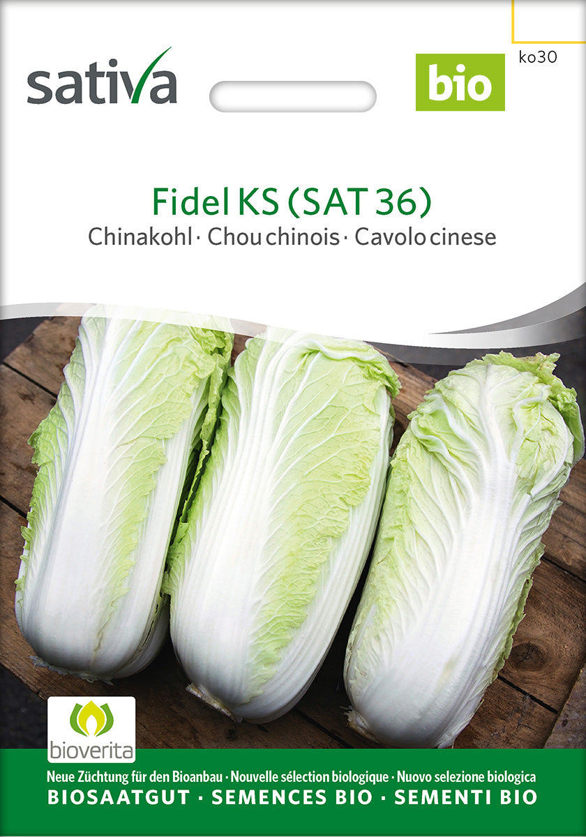 Sativa Chinakohl Fidel KS (SAT 36)
