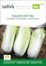 Sativa Chinakohl Fidel KS (SAT 36)