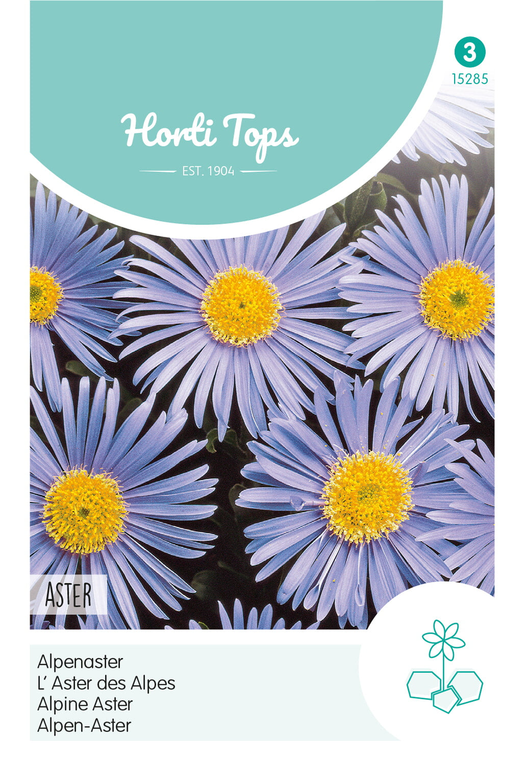 Horti Tops Alpen-Aster Hellblau