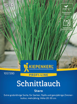 Kiepenkerl Schnittlauch Staro