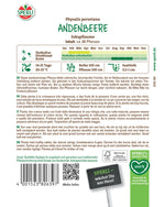 SPERLI Andenbeere Inkapflaume