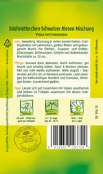 Quedlinburger Stiefmütterchen Schweizer Riesen Mischung