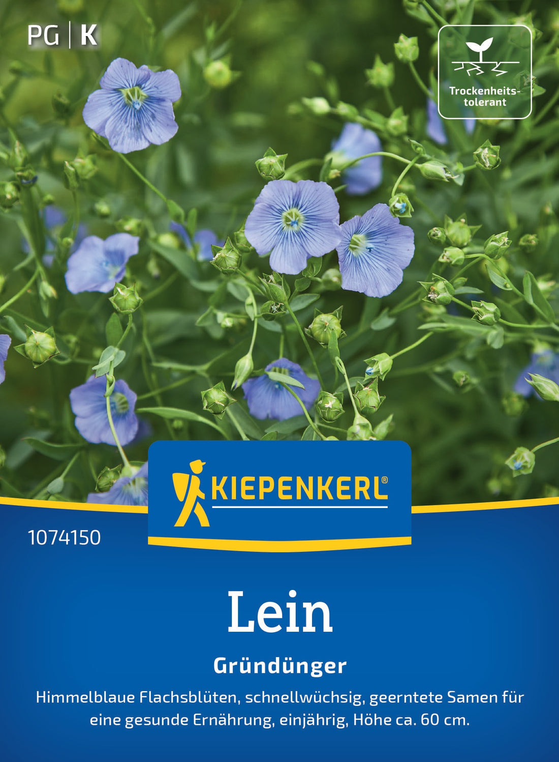Kiepenkerl Gründünger Lein Blauer Flachs Loses Saatgut