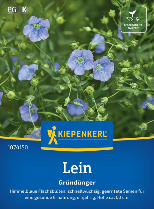 Kiepenkerl Gründünger Lein Blauer Flachs Loses Saatgut