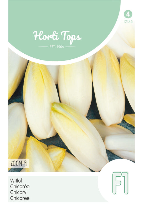 Horti Tops Chicorée Zoom F1
