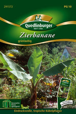 Quedlinburger Zimmerpflanze Zierbanane