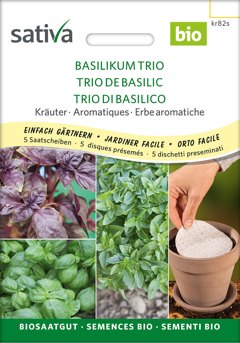 Sativa Basilikum Trio Saatscheibe