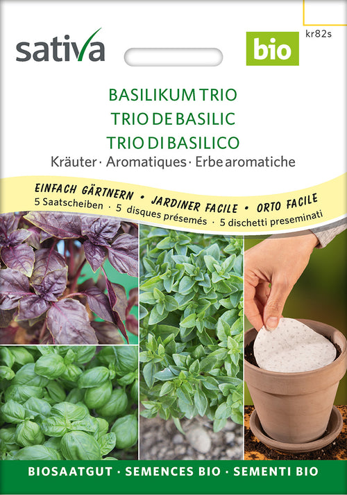 Sativa Basilikum Trio Saatscheibe