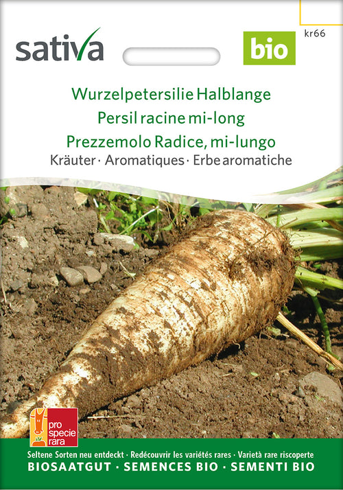 Sativa Wurzelpetersilie Halblange