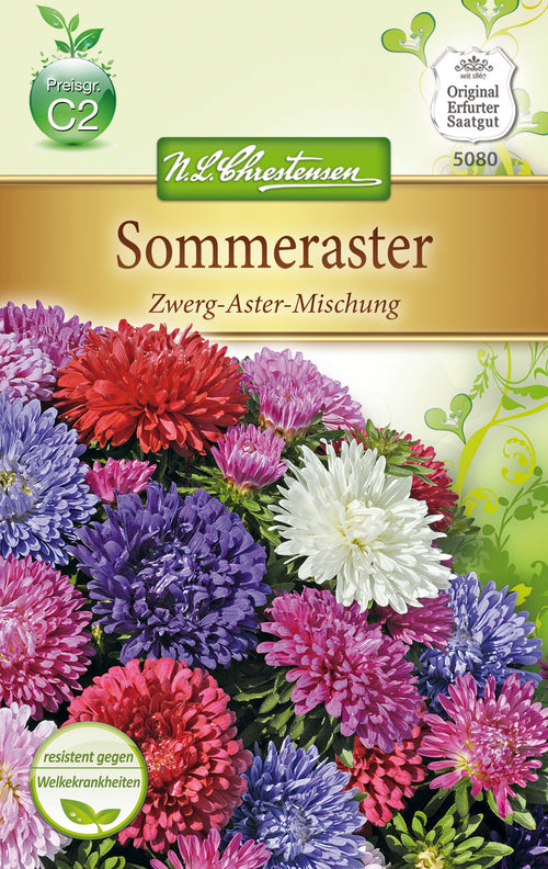 N.L. Chrestensen Sommeraster Zwerg Mischung